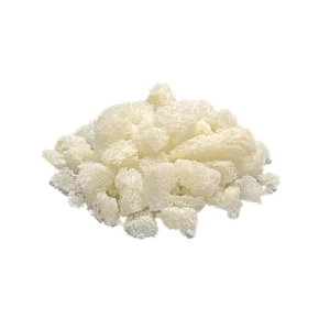 Cortico-cancellous chips, freeze dried