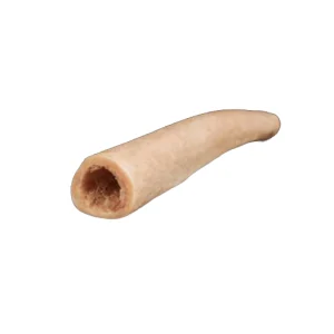 Femur diaphyse, frozen