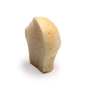 Femoral Head