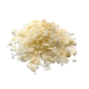 Kortiko-spongiozni delci (partikli)