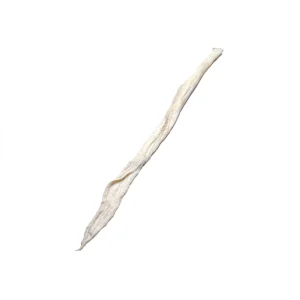 Ligamenti / kite / meniskus / hrustanec