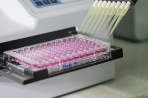 bigstock well plate for microbiologi 117005720