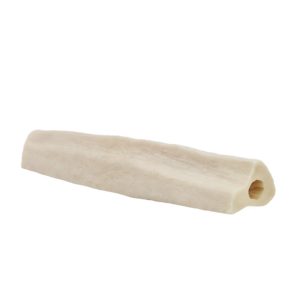 Fibula
